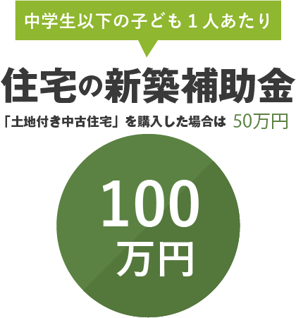 中学生以下の子ども１人あたり住宅の新築補助金100万円